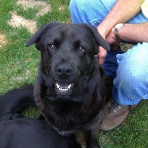 Meet your Posher, Diane